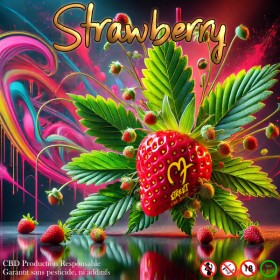 Fleurs CBD - STRAWBERRY Green House