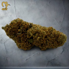BlueBerry Muffin - Fleurs CBD Béziers