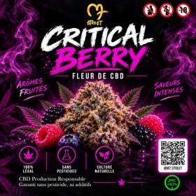 Critical Berry Fleurs CBD Béziers