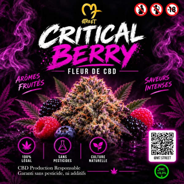 Critical Berry Fleurs CBD Béziers