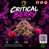 Critical Berry Fleurs CBD Béziers