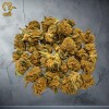 Critical Berry Fleurs CBD Béziers