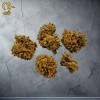 Critical Berry Fleurs CBD Béziers