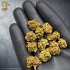 Orange Bud - Fleurs CBD Béziers